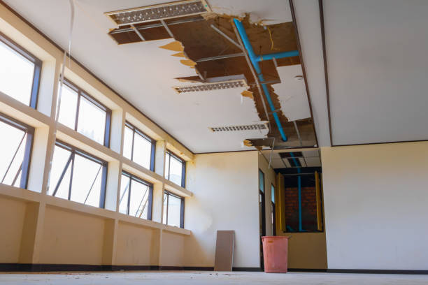 Best Water damage restoration process  in Gluckstadt, MS