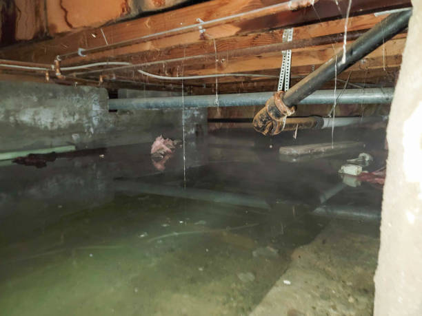 Best 24-hour water damage restoration  in Gluckstadt, MS