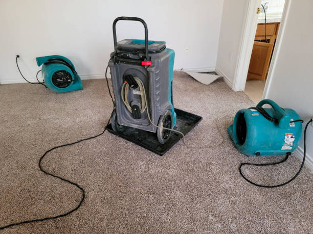 Best Carpet water damage restoration  in Gluckstadt, MS