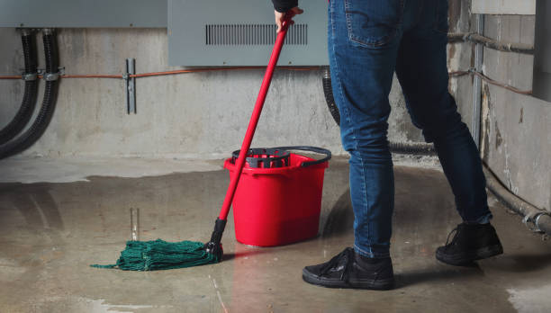 Best Ceiling water damage repair  in Gluckstadt, MS