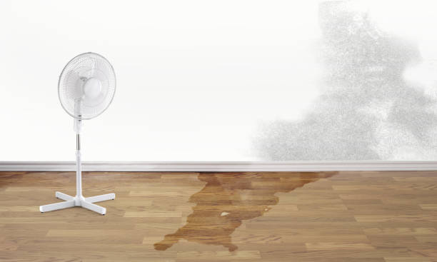 Best Emergency water damage restoration  in Gluckstadt, MS