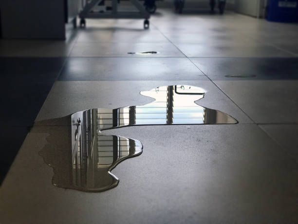 Best Commercial water damage restoration  in Gluckstadt, MS