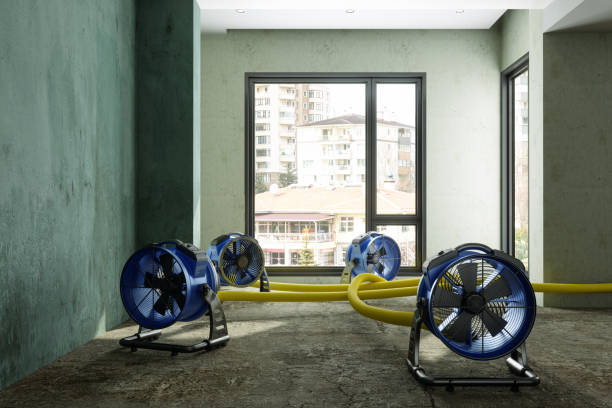 Best Local water damage restoration  in Gluckstadt, MS